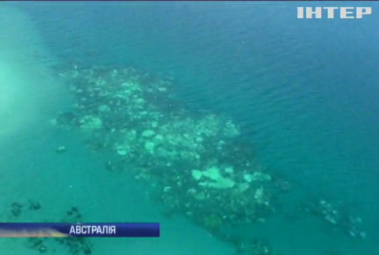 В Австралії гине Великий бар’єрний риф
