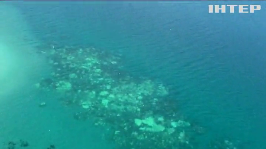 В Австралії гине Великий бар’єрний риф
