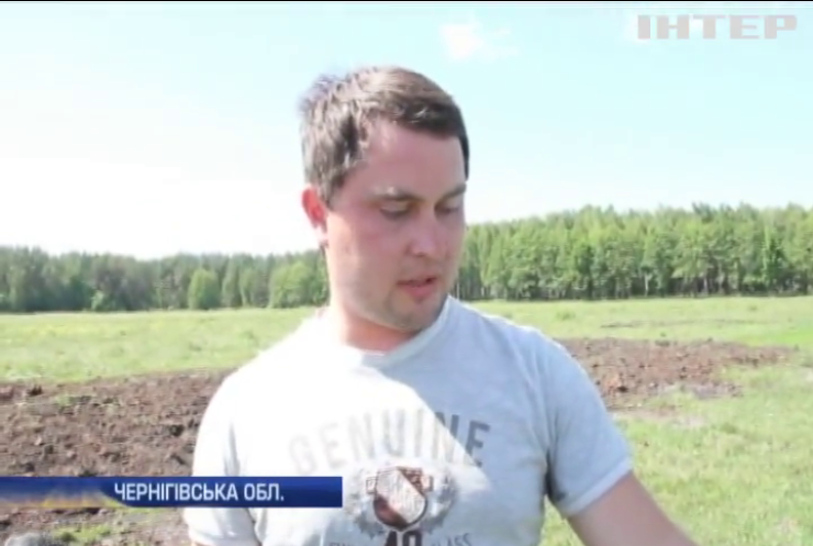 На Чернігівщині селянам нищать городи через торф
