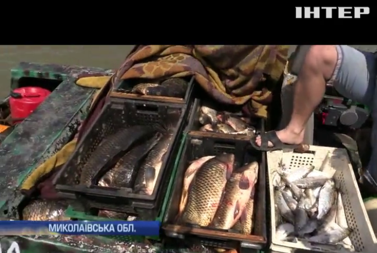 На Одещині браконьєрів офоромлювали як громадських активістів