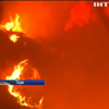 Захід США охопили лісові пожежі (відео)