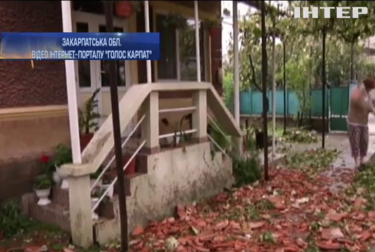 Села Закарпаття розгромило градом (відео)