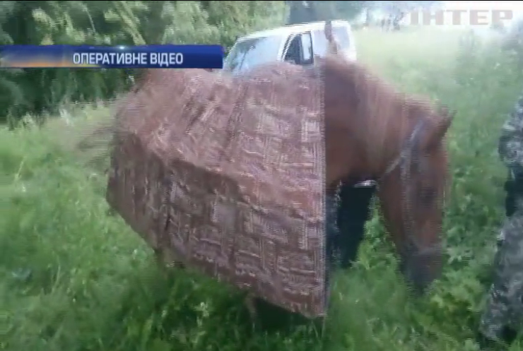 На Буковині контрабандист віз цигарки на коні