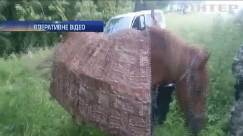 На Буковині контрабандист віз цигарки на коні