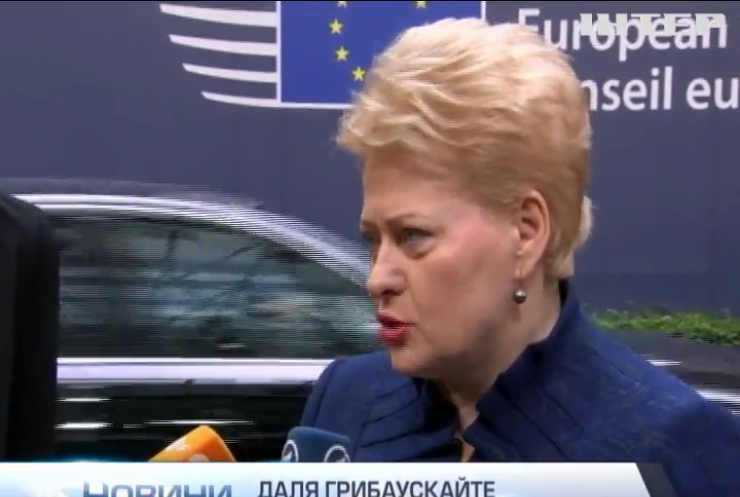 Президент Литви закликала членів ЄС триматися разом