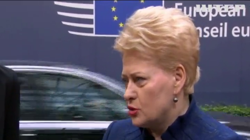 Президент Литви закликала членів ЄС триматися разом