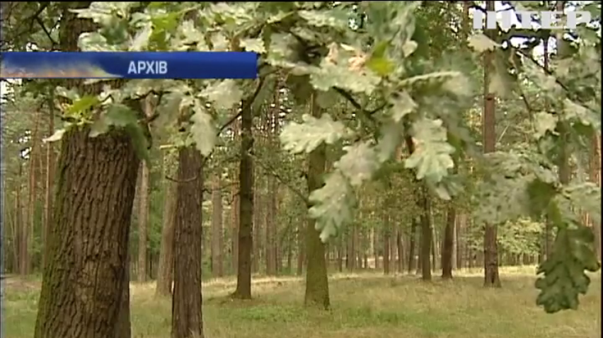 Мерів Бучі та Ірпіні підозрюють у розкраданні лісу