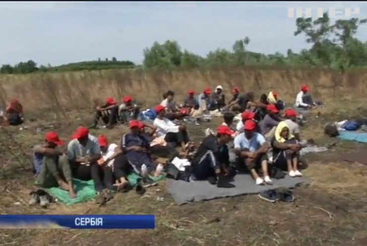 На кордоні Сербії та Угорщини нелегали оголосили голодування