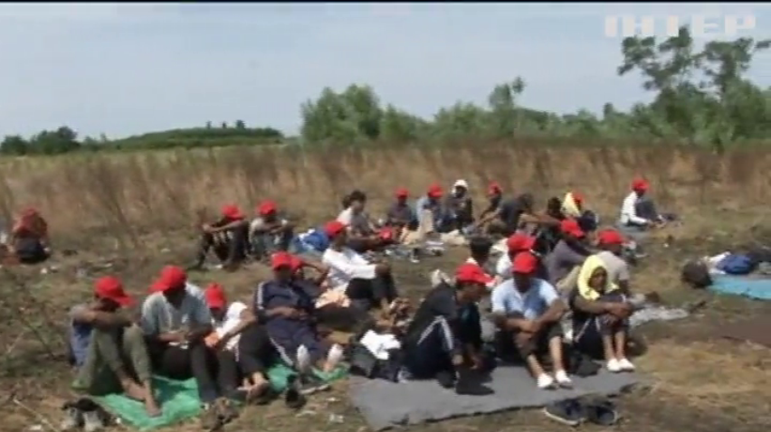 На кордоні Сербії та Угорщини нелегали оголосили голодування