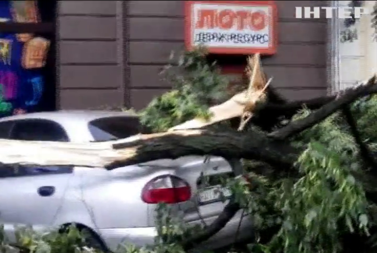 Буревій в Ужгороді повалив чотири дерева на автомобілі