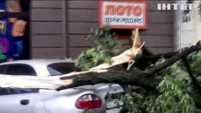 Буревій в Ужгороді повалив чотири дерева на автомобілі