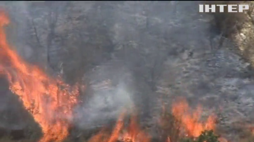 У Каліфорнії лісові пожежі знищили 20 будинків