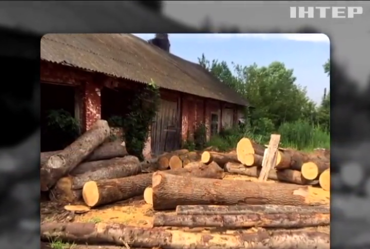 На Львівщині викрили незаконні лісопильні