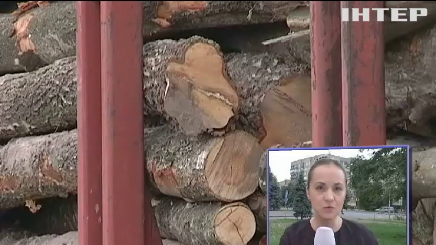 Суд Ужгорода оштрафовал лесхоз за попытку вывезти лес из Украины