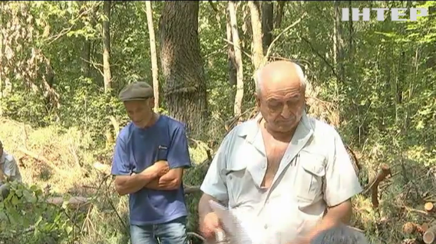 Село в Карпатах встало на защиту леса от браконьеров
