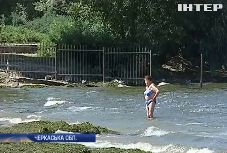 На Черкащині водорості вбивають усе живе в Дніпрі