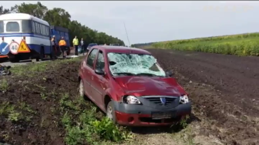 Работников автодора в Харьковской области сбил пенсионер