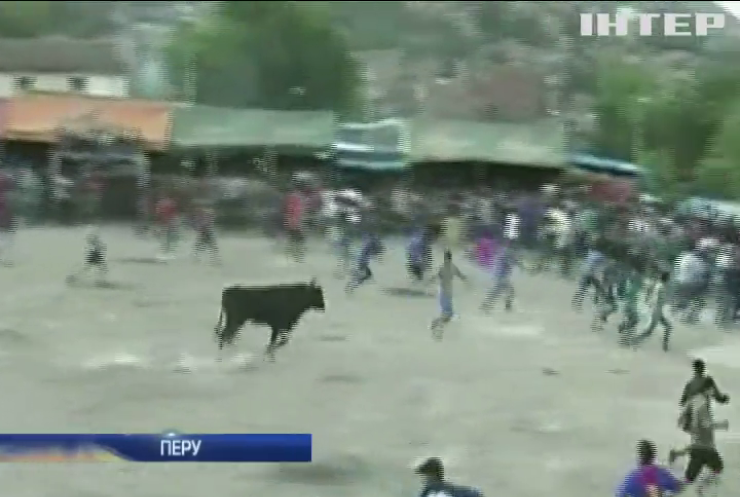 На фестивалі у Перу бик поранив 9 людей 