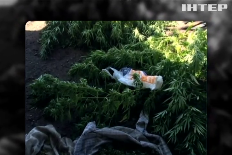 На Луганщині поліція вилучила 7 кг наркотиків