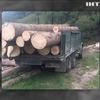 В Черновицкой области задержали три фуры с лесом