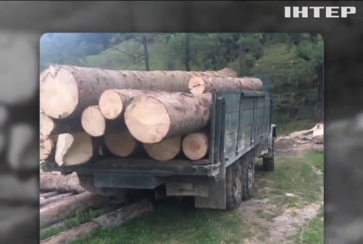 В Черновицкой области задержали три фуры с лесом