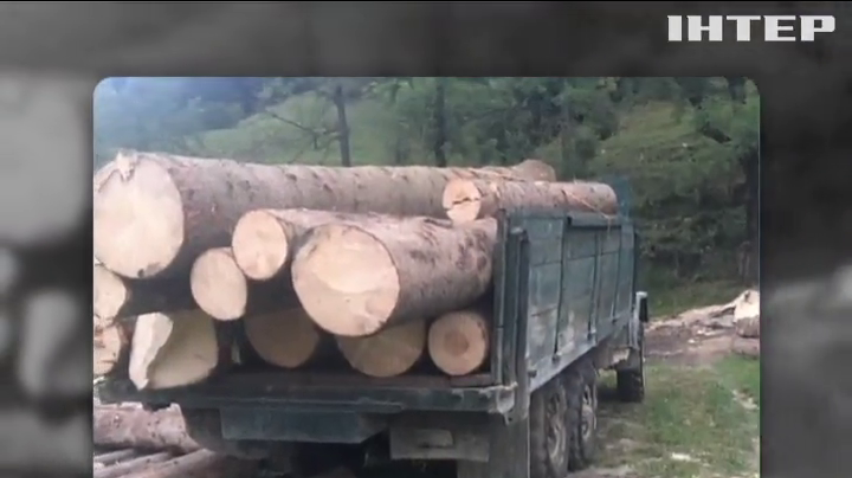 В Черновицкой области задержали три фуры с лесом