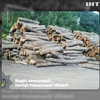На Рівненщині виявили склад з контрабандною деревиною