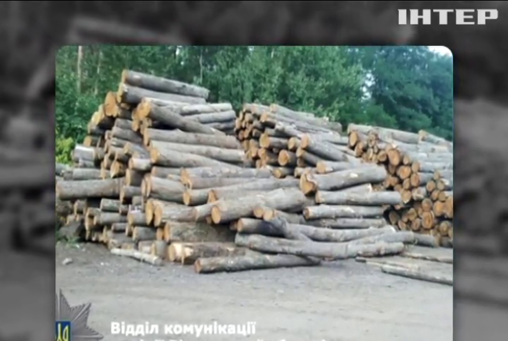 На Рівненщині виявили склад з контрабандною деревиною