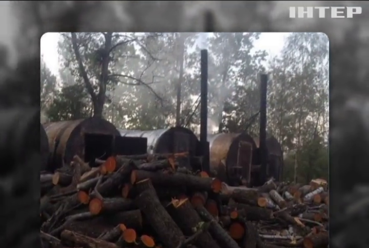 СБУ викрила підпільне підприємство по виготовленню деревного вугілля
