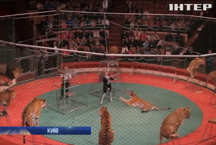 Київський цирк збирається судитися з зоозахисниками за наклеп