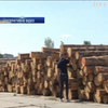 На Одещині правоохоронці викрили незаконний експорт деревини 