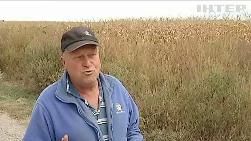 У селі на Черкащині голову звинуватили у розкраданні бюджету
