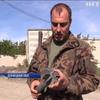 Боевики получили новую партию боеприпасов и военной техники в перемирие