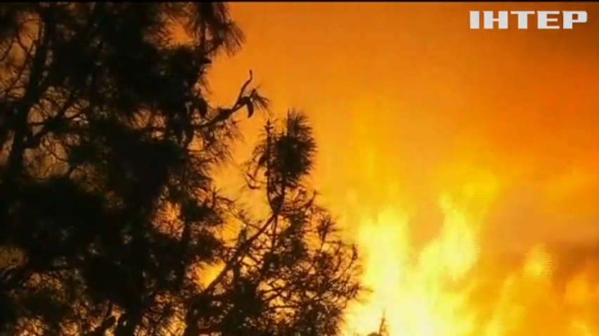 В США пожежа знищила 400 гектарів лісу