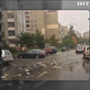 Во Львове река из мусора "взяла в плен" автомобиль (видео)
