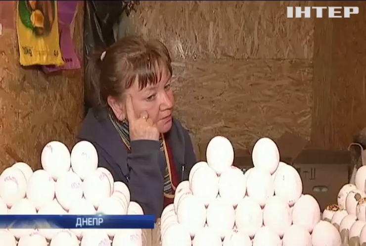 В Украине подскочила цена на яйца
