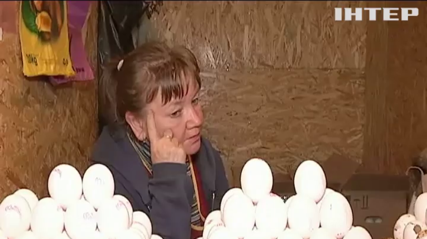В Украине подскочила цена на яйца