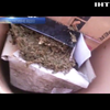 На Одещині прикордонники вилучили 35 кілограмів наркотиків 