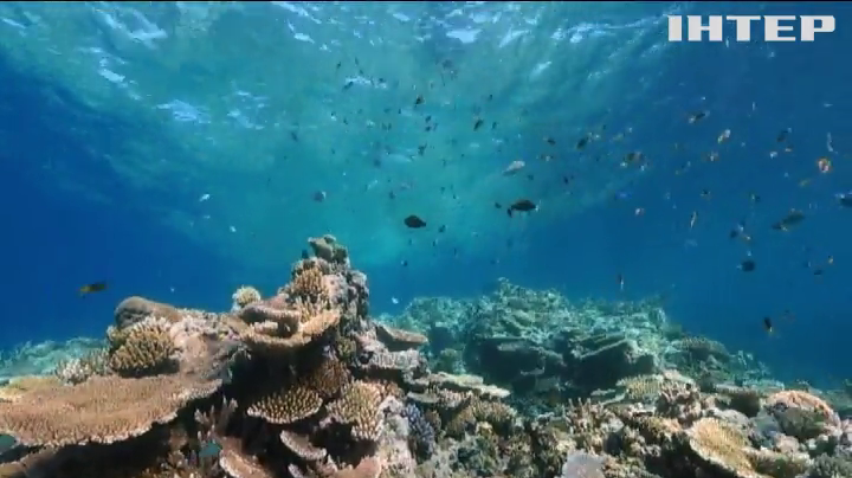 В Австралії вчені фіксують гибель Великого Бар’єрного рифу 