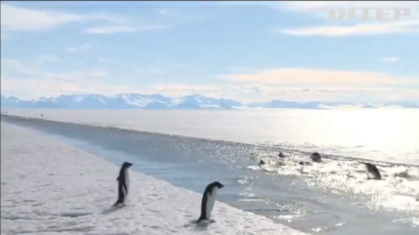В Антарктиці створять найбільшу заповітну зону світу