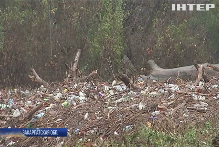 На Закарпатье паводок вынес на речные берега тонны мусора