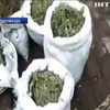 На Сумщині вилучили партію марихуани