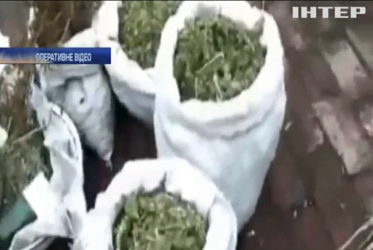 На Сумщині вилучили партію марихуани
