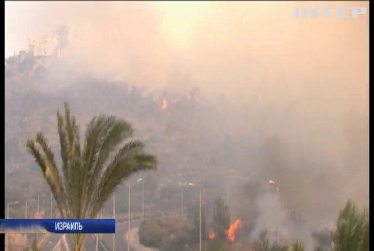 По всей территории Израиля продолжаются сильнейшие пожары