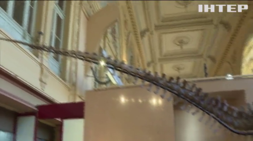 Во Франции на аукционе продали скелет динозавра за миллион евро
