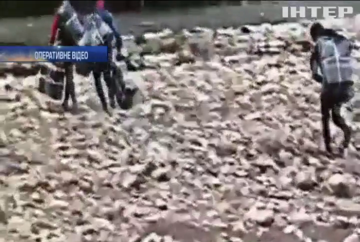 На Закарпатті прикордонники викрили контрабанду цигарок