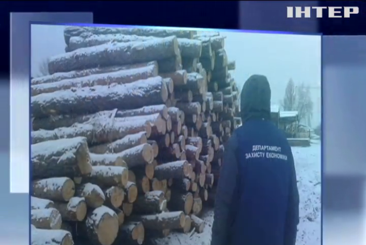 На Черкащині чиновники лісгоспу розікрали лісу на 2 млн гривень