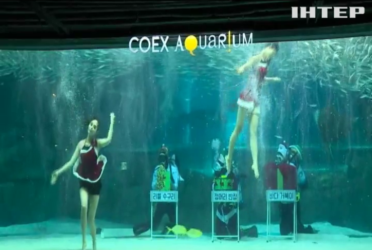 У Південній Кореї влаштували різдвяне підводне шоу