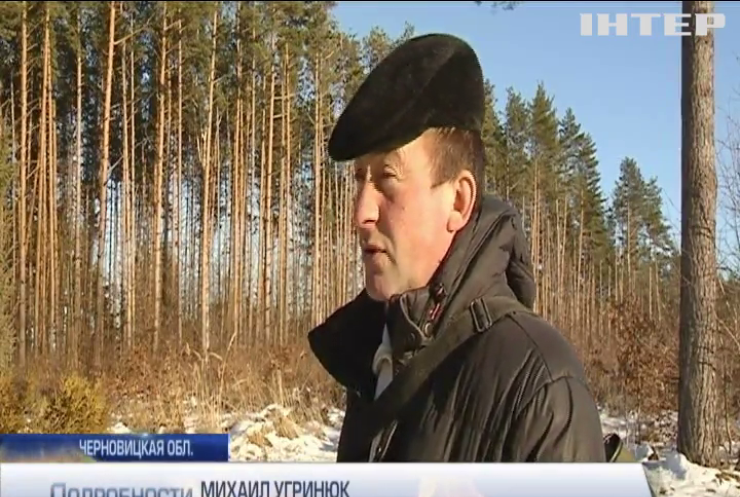 В Черновицкой области охотники отстояли право охотиться в местных лесах