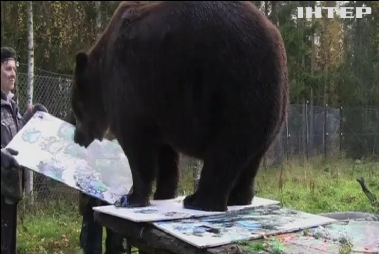 У Фінляндії продають картини ведмедя-художника